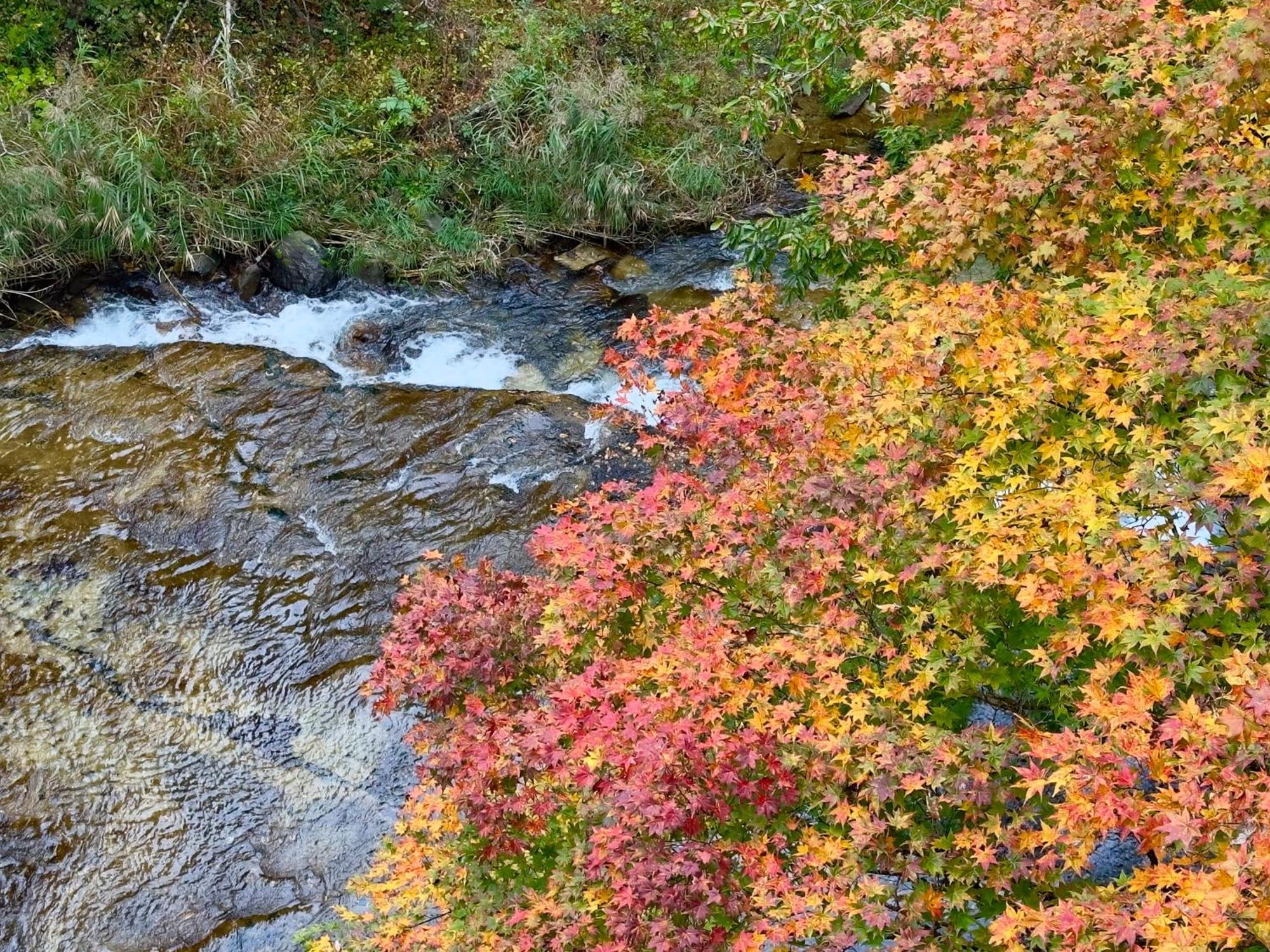 Hana To Hana Nikko Eksteriør bilde